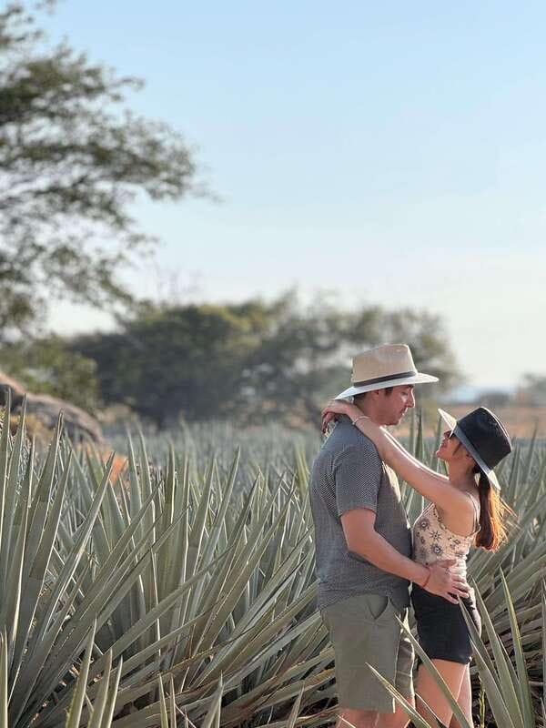 Tequila: Town and Distillery Guided Tour with Tastings - Food Strategy: How to Handle Quesabirria Time Without Losing the Day