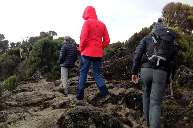 The best 6-Days Kilimanjaro hiking (Machame route)whiskey route - Arusha and the Early Start: Getting to Machame Gate