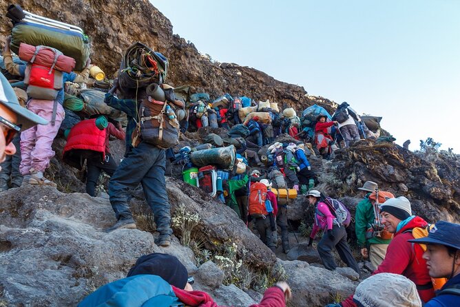 The best 6-Days Kilimanjaro hiking (Machame route)whiskey route - What the Camps and Terrain Feel Like (Forest to High Desert)