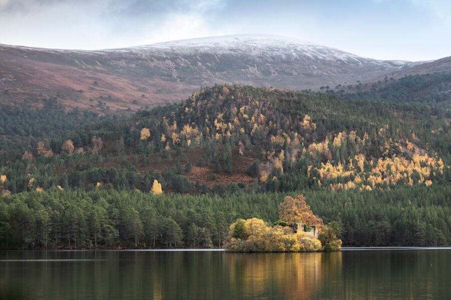 The Cairngorms, Culloden, and Speyside Whisky Tour - Key things to know before you book