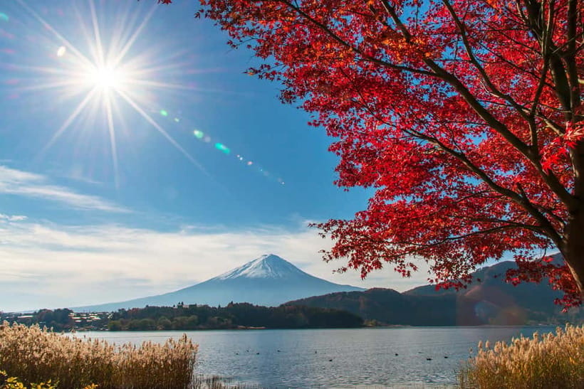 Tokyo: Mt. Fuji 5th St. & Hakushu Distillery Whisky Museum - Key highlights you’ll care about