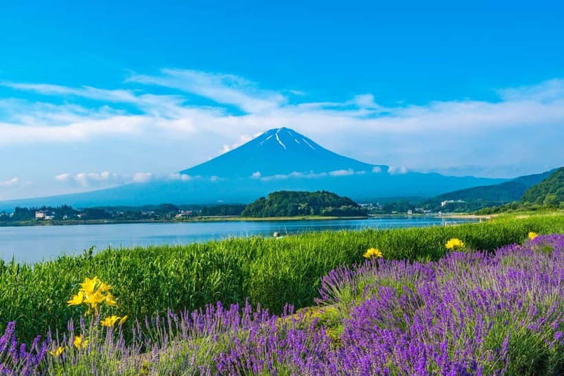 Tokyo: Mt. Fuji 5th St. & Hakushu Distillery Whisky Museum - So, should you book it?