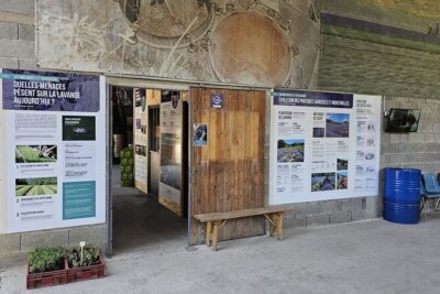 Tour Guide of an Essential Oil Distillery in the Drôme - Stop 1: from lavender fields to stills with a real, guided production story
