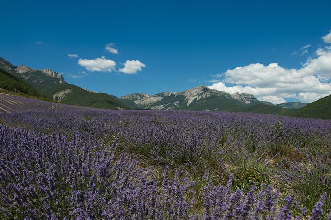 Tour Guide of an Essential Oil Distillery in the Drôme - Stop 2 self-guided: Vercors views and the restored stills museum area