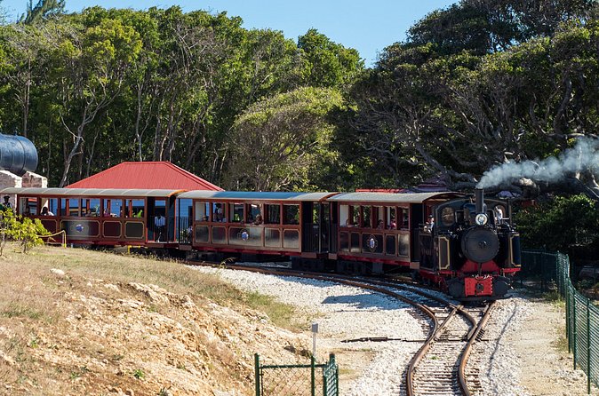 Victorian Steam (Long) Railway Journey+Great House & Distillery - The Victorian steel trestle bridge crossings you’ll remember