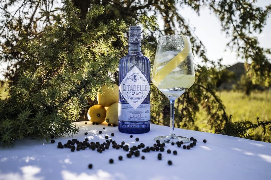 Visit Citadelle Gin Distillery - Charente stills and aging: what happens after the botanicals