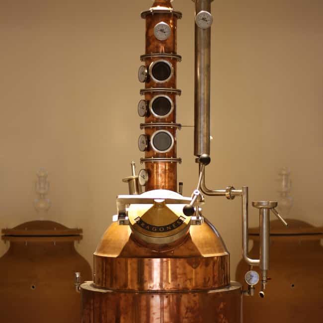 Visit the distillery of Ischia island - What the tour teaches you about real local liqueur production