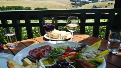 Waiheke: Scenic Taste and Graze Tour with Wine, Whisky, Beer - Matiatia start point and the simple way to handle the ferry