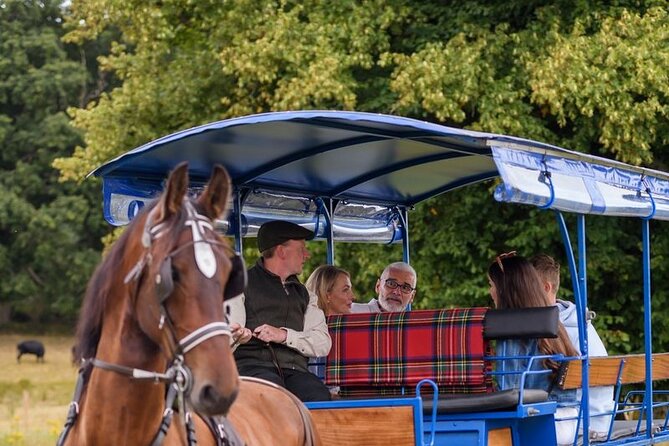 Whiskey & Wonders in Killarney - Key things to know before you go