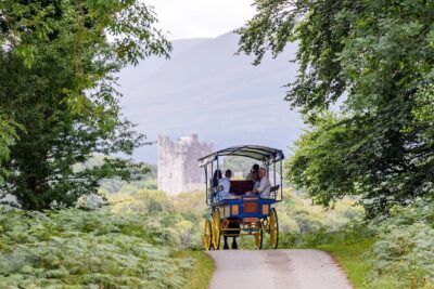 Whiskey & Wonders in Killarney - Killarney National Park jaunt: MacGillycuddy Reeks and deer sightings