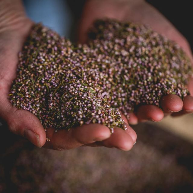 Whitby: Guided Distillery Tour with Gin Tasting - The tasting session: three award-winning spirits, then your gin and tonic
