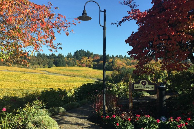 Willamette Valley Wine & Whisky - Who This Tour Suits Best (and Who Should Consider Alternatives)