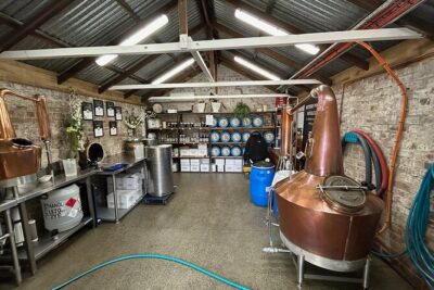 Wine, Gin & Whisky Tour - Hobart & SE Tasmania - Derwent Estate Vineyard: wine tasting and a cheese platter opener
