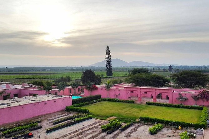 Winery and Pisco Distillery tour - Why Ica’s Pisco Route feels like a smart use of time