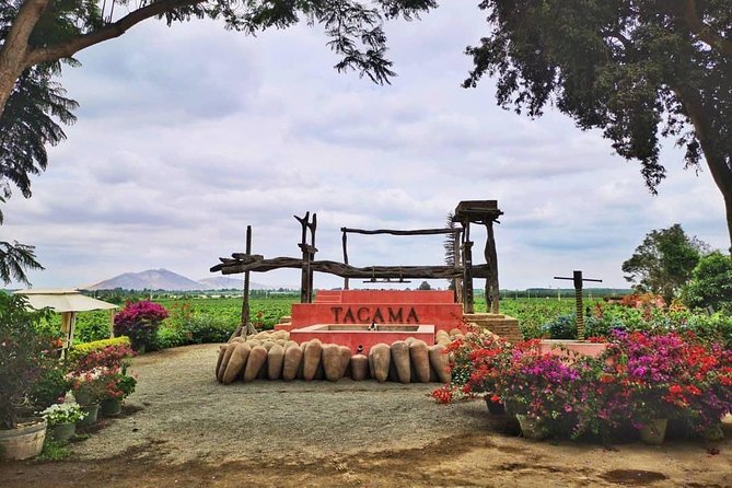 Winery and Pisco Distillery tour - Stop 3: Pisco Nietto (family roots dating back to 1857)