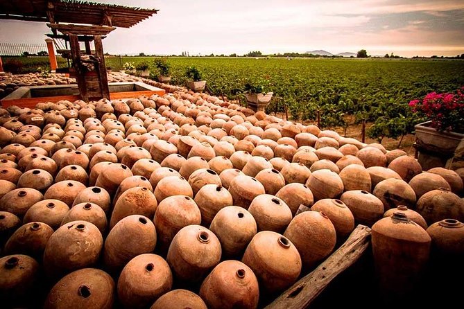 Winery and Pisco Distillery tour - Price and value: what you really pay (and what costs extra)