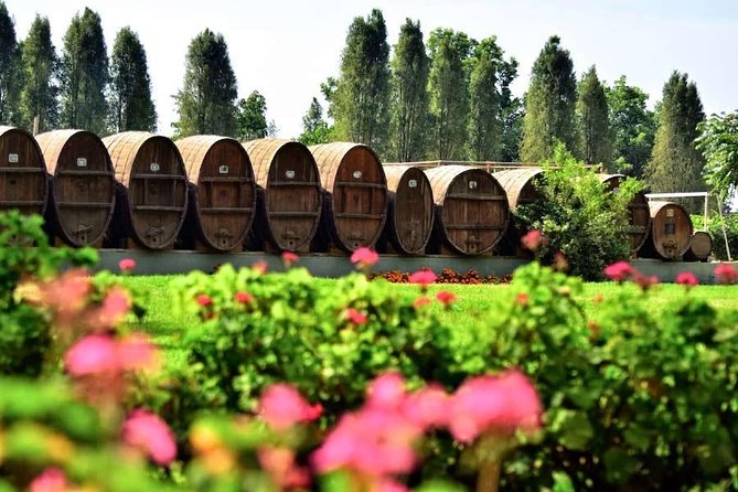 Winery and Pisco Distillery tour - Who should book this tour in Ica (and who might skip it)