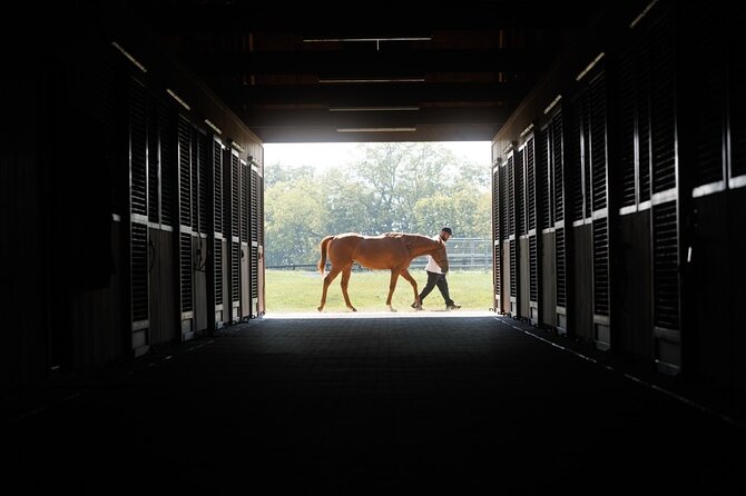 Woodford Reserve, Kismet Thoroughbred Farm & Whiskey Thief - Timing and pacing: how to get the best day without running out of steam