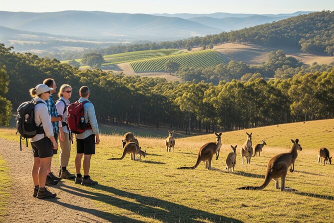 Yarra Valley by night! Private wine, whisky and dinner tour - Key highlights worth planning for
