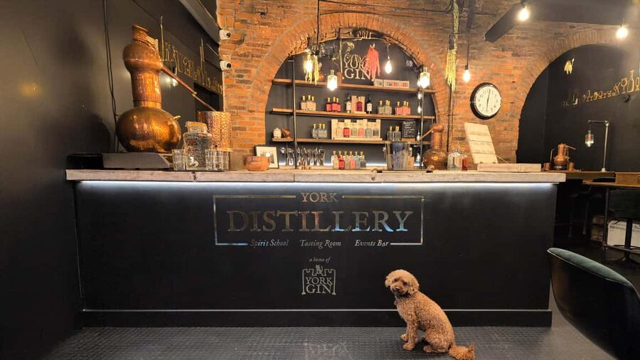 York: Gin Tasting Experience at York Distillery - Tasting up to five gins: how the session keeps it fun and understandable